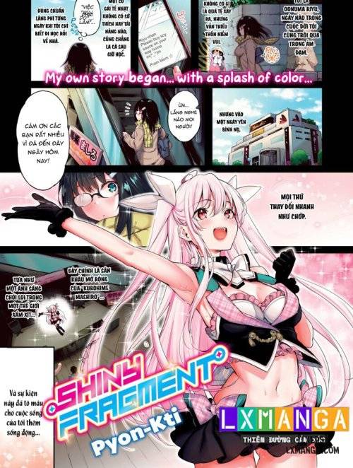 shiny-fragment.jpg