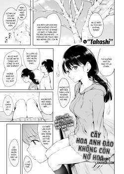 unblooming-sakura.jpg