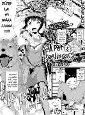 a-pet-s-feelings.jpg