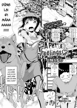 a-pet-s-feelings.jpg
