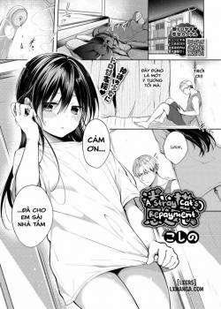 a-stray-cat-s-repayment.jpg