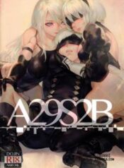 a29s2b.jpg