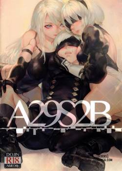 a29s2b.jpg