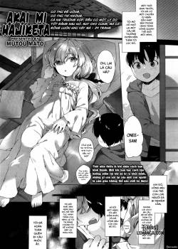 akai-mi-hajiketa.jpg