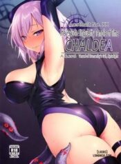 ashu-jikan-shinden-chaldea.jpg