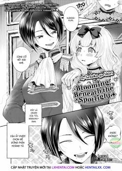 blooming-beneath-the-spotlight.jpg