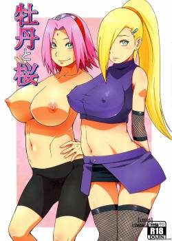 botan-to-sakura.jpg