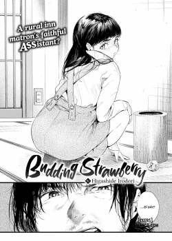 budding-strawberry.jpg