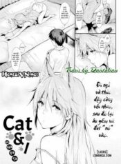 cat-i.jpg