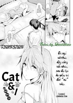 cat-i.jpg