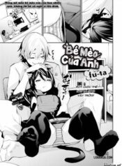 cat-person-days.jpg