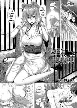 chronicle-of-a-heisei-pleasuring-wolf.jpg