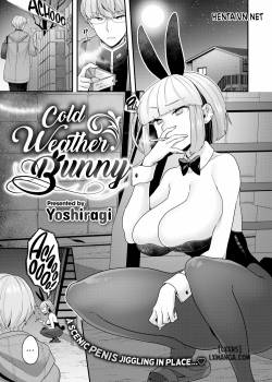cold-weather-bunny.jpg