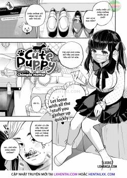 cute-puppy.jpg