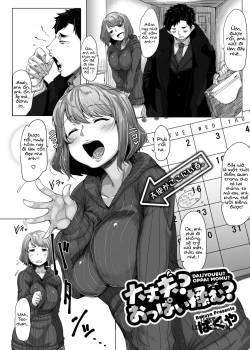 daijoubu-oppai-momu.jpg