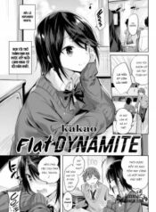 flat-dynamite.jpg