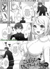 gohoubi-sensation.jpg