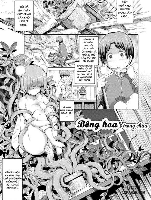 hachi-no-ue-no-flower.jpg
