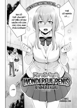harada-kun-s-wonderful-penis.jpg
