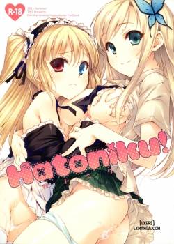 hatoniku.jpg