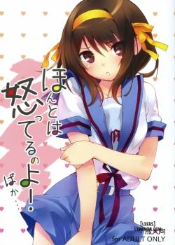 honto-wa-okotteru-no-yo-baka.jpg