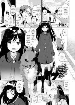 how-to-train-a-dog.jpg