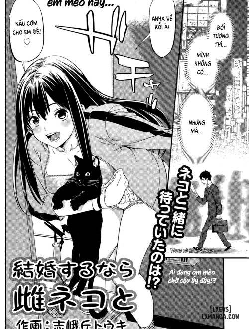 if-it-s-getting-married-a-catgirl.jpg