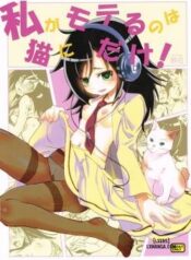 im-popular-now-but-only-with-cats.jpg