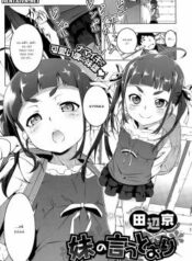 imouto-no-iu-toori.jpg