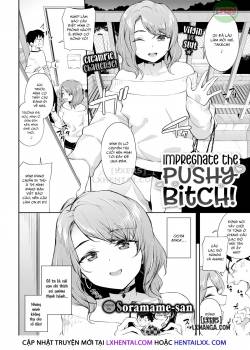 impregnate-the-pushy-bitch.jpg