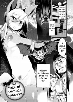 jitsuroku-koumori-onna-tachi-no-hanshokuki.jpg