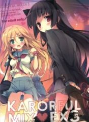 karorful-mix-ex3.jpg