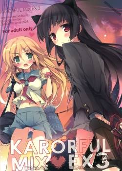 karorful-mix-ex3.jpg