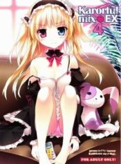 karorful-mix-ex4.jpg