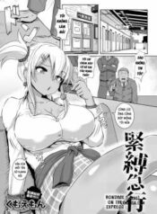 kinbaku-kyuukou.jpg