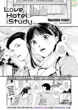 love-hotel-study.jpg