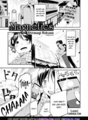 magnetics.jpg