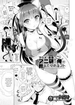 majimena-aitsu-ni-ani.jpg