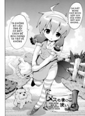mesu-no-manko-tsukai-houdai.jpg