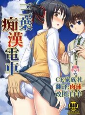 mitsuha-chikan-densha.jpg