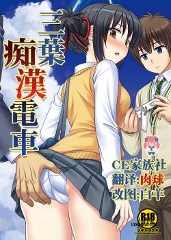 mitsuha-chikan-densha.jpg