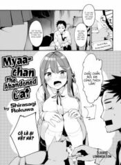 miyaa-chan-the-abandoned-cat.jpg