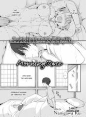 morning-rose.jpg