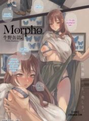 morpho.jpg