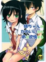 nee-chan-ga-kawaii-kara-otouto-ga-yokujo-suru.jpg