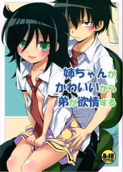 nee-chan-ga-kawaii-kara-otouto-ga-yokujo-suru.jpg