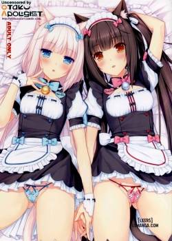 neko-paradise.jpg