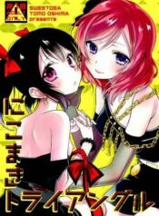nicomaki-triangle.jpg