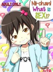 nii-chan-sex-tte-nani.jpg
