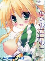 retrieve-14.jpg
